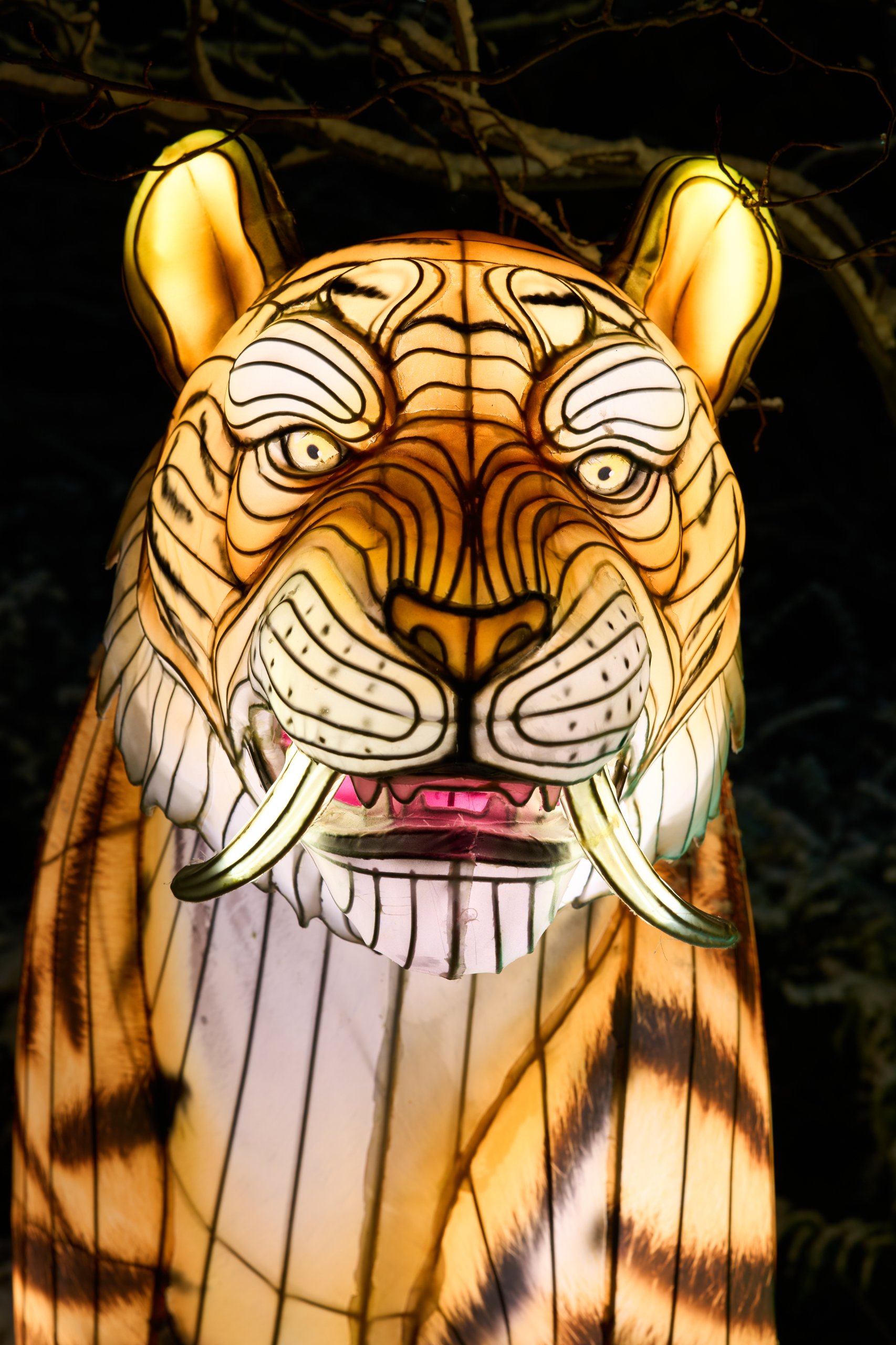 2026 01 05 China Lights 0211